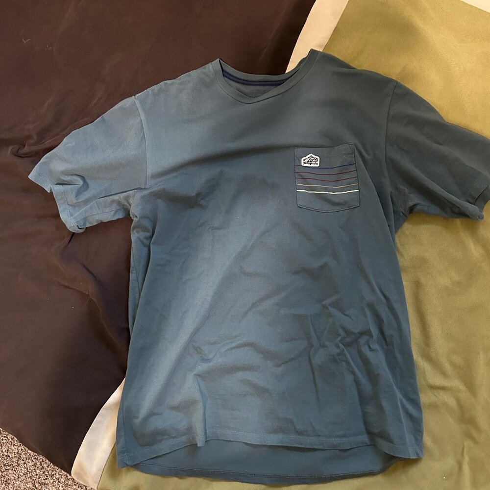 Patagonia Responsibili-tee